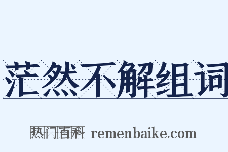 茫然不解组词是什么意思的图片